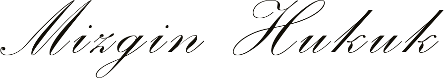 mizgin-dogan-updated-logo